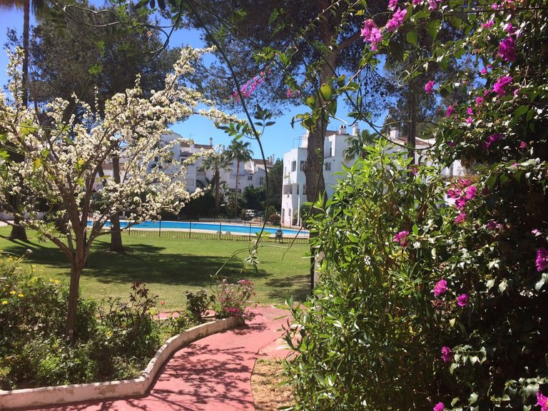 Apartment for Sale in Elviria, Malaga 2