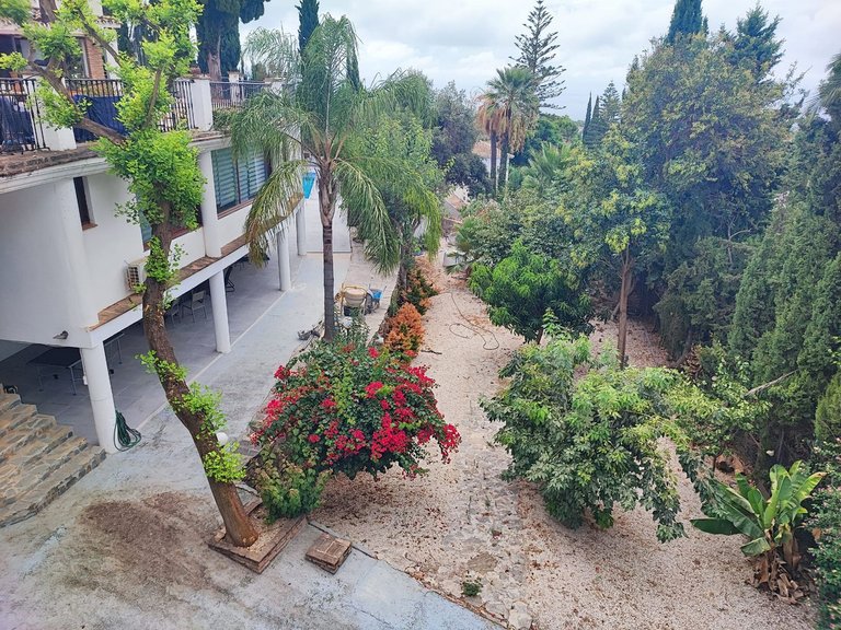 Villa for Sale in El Rosario, Malaga 27