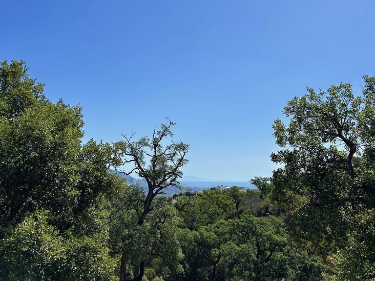 Plot for Sale in La Mairena, Malaga 5