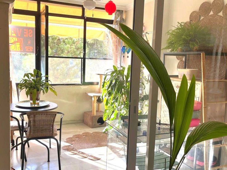 Apartment for Sale in Puerto Banús, Malaga 7