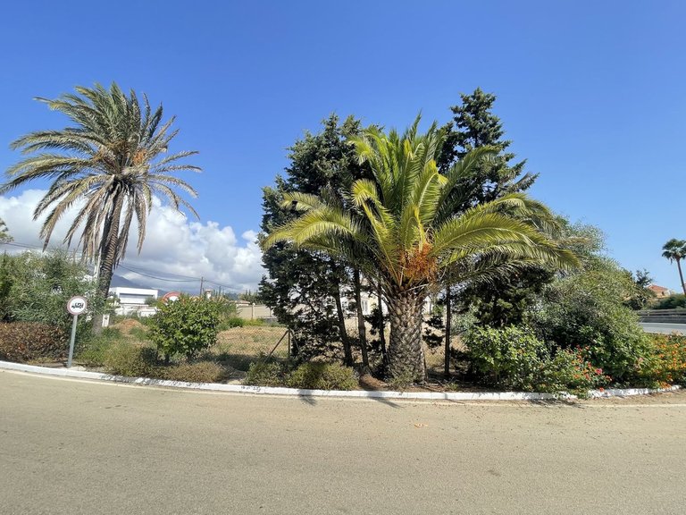 Plot for Sale in Estepona, Malaga 14