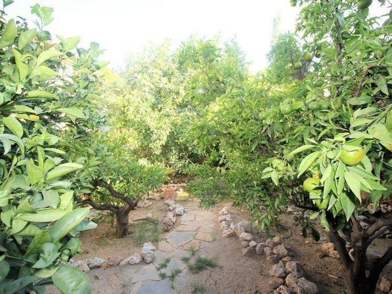 Villa for Sale in Torremolinos, Malaga 19