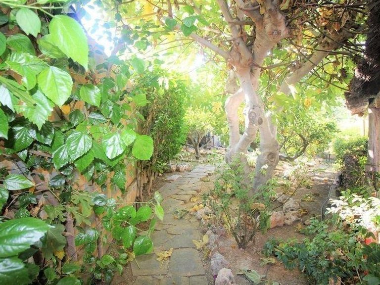 Villa for Sale in Torremolinos, Malaga 21