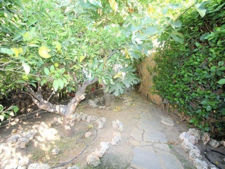 Villa for Sale in Torremolinos, Malaga 22