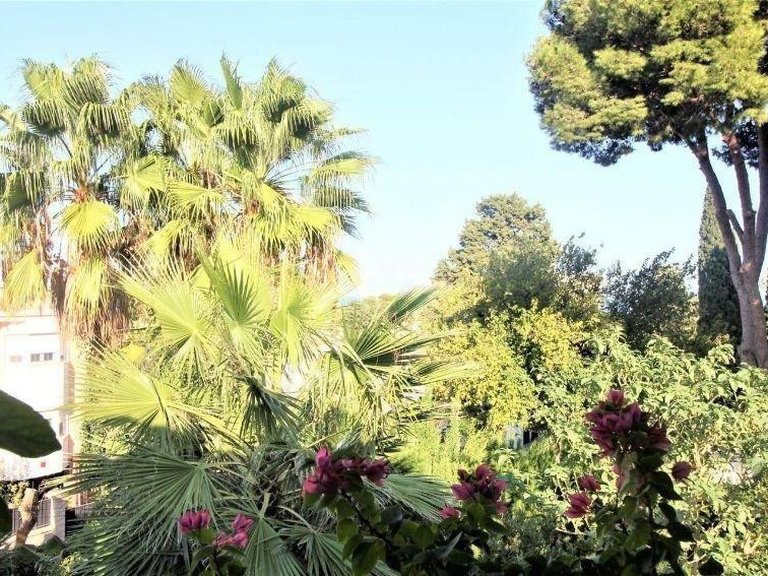 Villa for Sale in Torremolinos, Malaga 33
