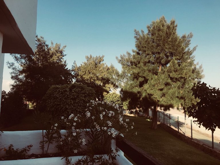 Apartment for Sale in Doña Julia, Malaga 26
