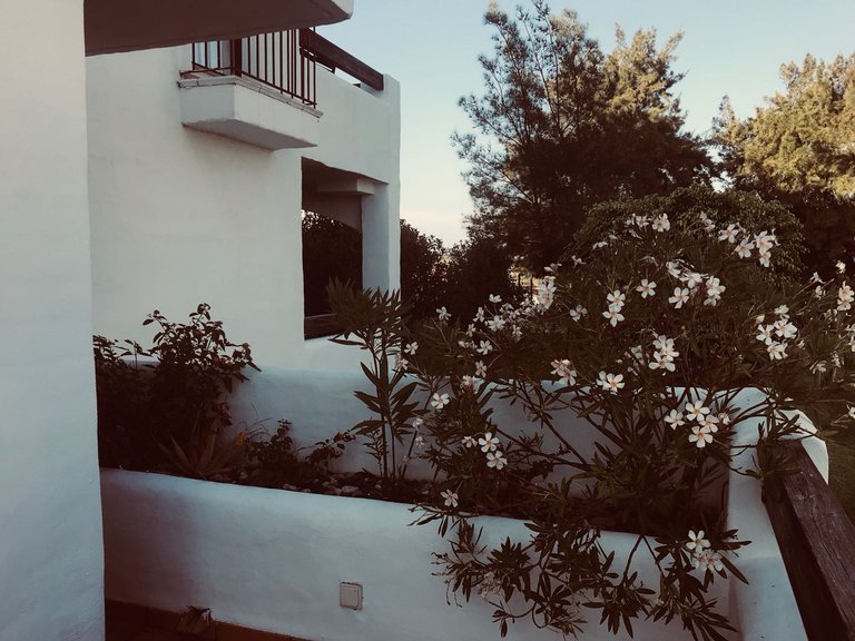 Apartment for Sale in Doña Julia, Malaga 27