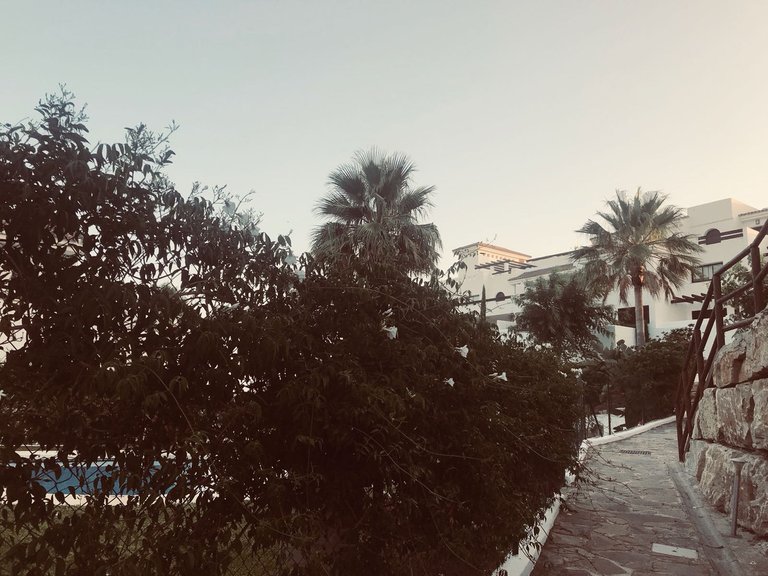 Apartment for Sale in Doña Julia, Malaga 36