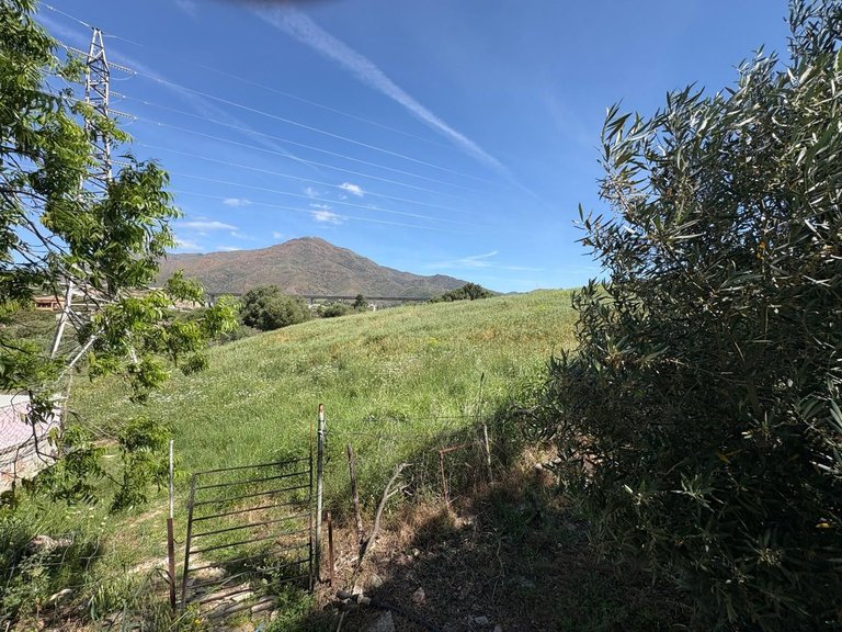Plot for Sale in Estepona, Malaga 24