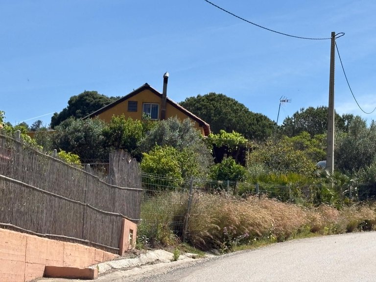 Plot for Sale in Estepona, Malaga 9