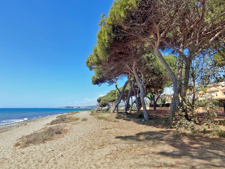 Apartment for Sale in New Golden Mile, Malaga 15