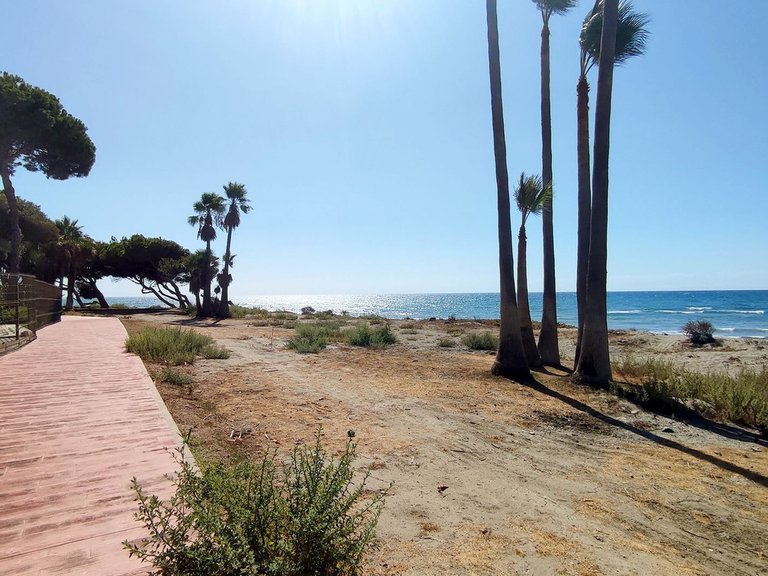 Apartment for Sale in New Golden Mile, Malaga 16