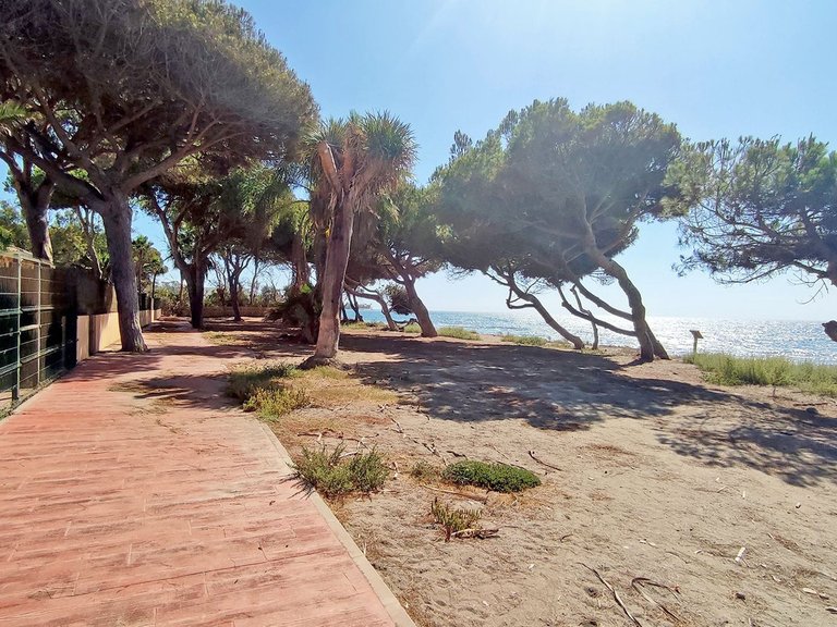 Apartment for Sale in New Golden Mile, Malaga 17