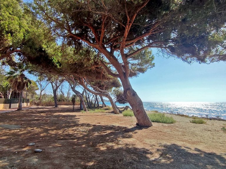 Apartment for Sale in New Golden Mile, Malaga 18
