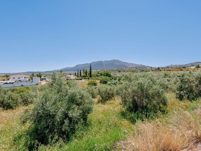 Villa for Sale in Coín, Malaga 50
