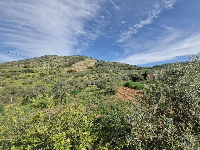 Villa for Sale in Coín, Malaga 22