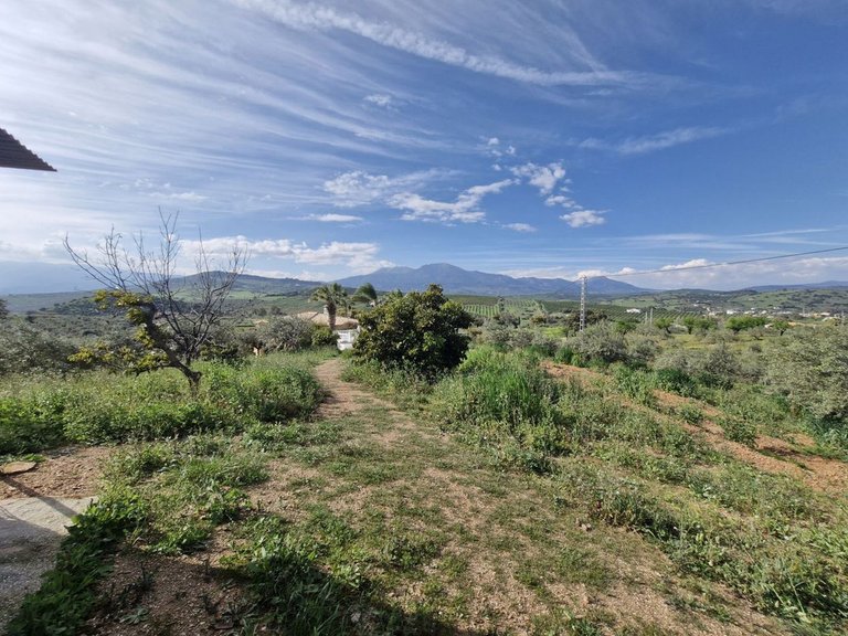Villa for Sale in Coín, Malaga 25