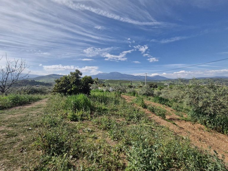 Villa for Sale in Coín, Malaga 26