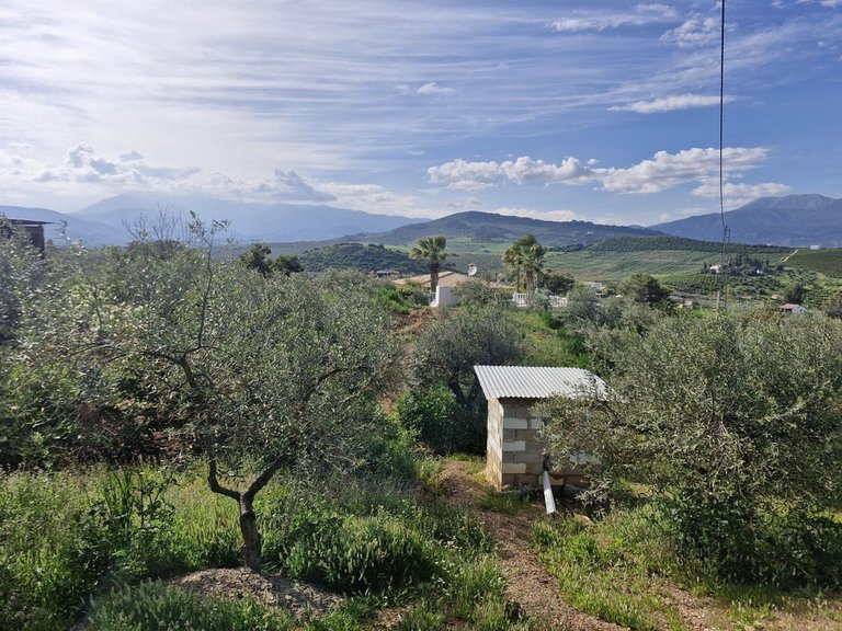Villa for Sale in Coín, Malaga 27