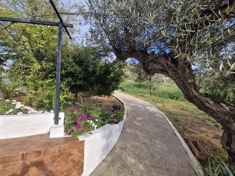 Villa for Sale in Coín, Malaga 35