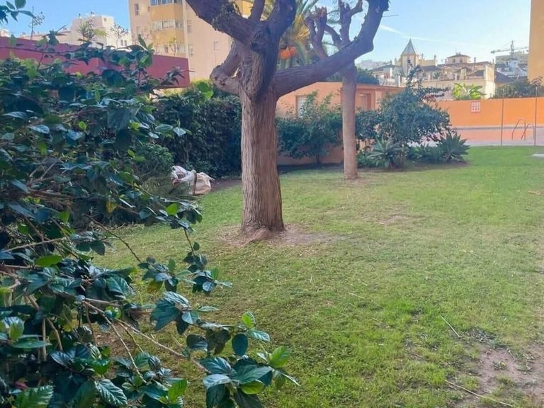 Apartment for Sale in Fuengirola, Malaga 9