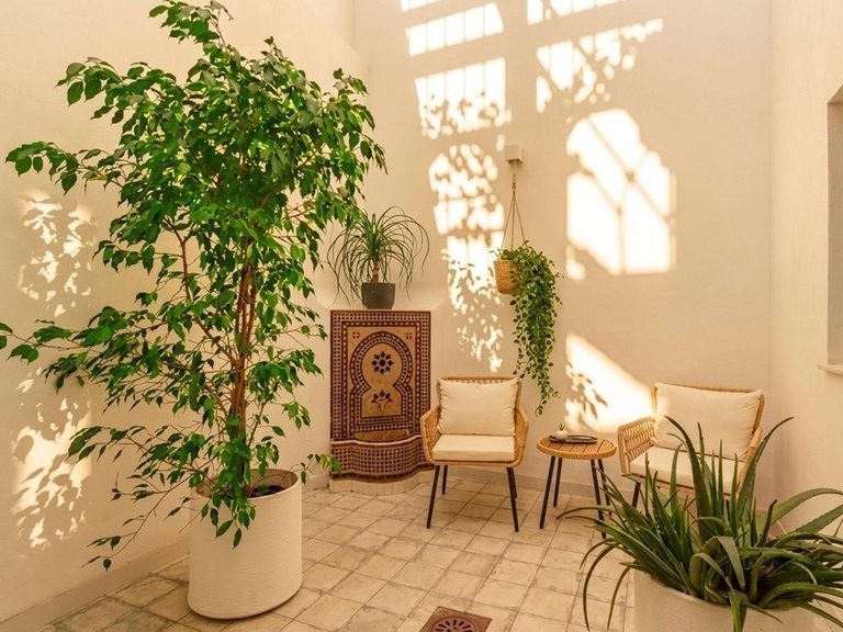 Villa for Sale in Estepona, Malaga 8