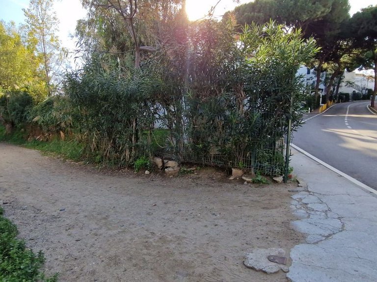Apartment for Sale in Calahonda, Malaga 43