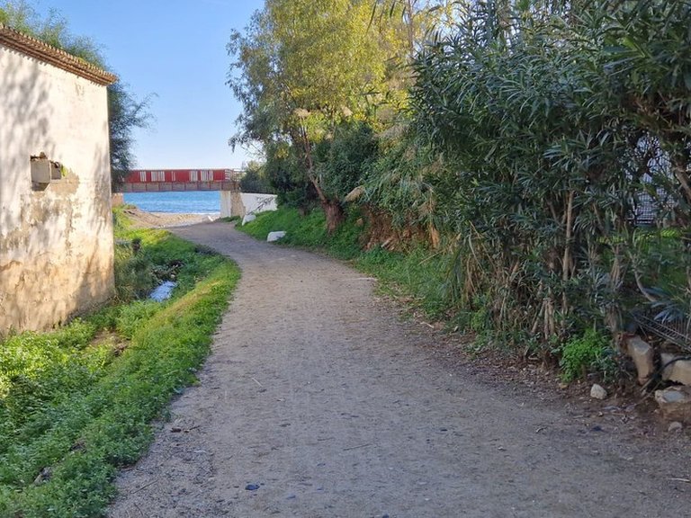 Apartment for Sale in Calahonda, Malaga 44