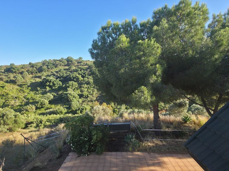 Villa for Sale in Mijas Costa, Malaga 39