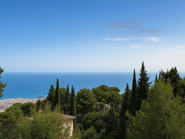 Plot for Sale in Pinares De San Antón, Malaga 1