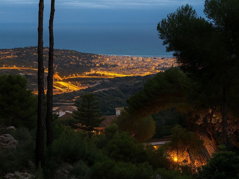 Plot for Sale in Pinares De San Antón, Malaga 2