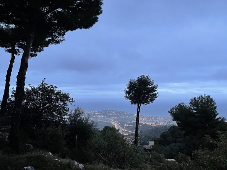 Plot for Sale in Pinares De San Antón, Malaga 6