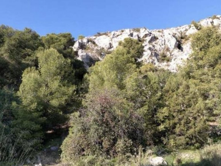 Plot for Sale in Pinares De San Antón, Malaga 7