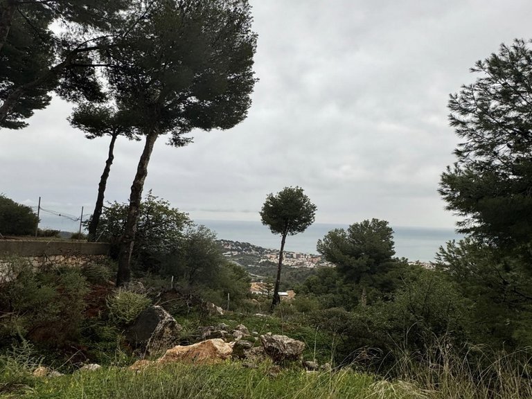 Plot for Sale in Pinares De San Antón, Malaga 9
