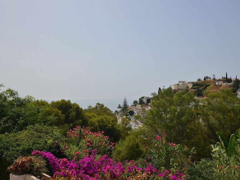 Villa for Sale in Benalmadena Costa, Malaga 5