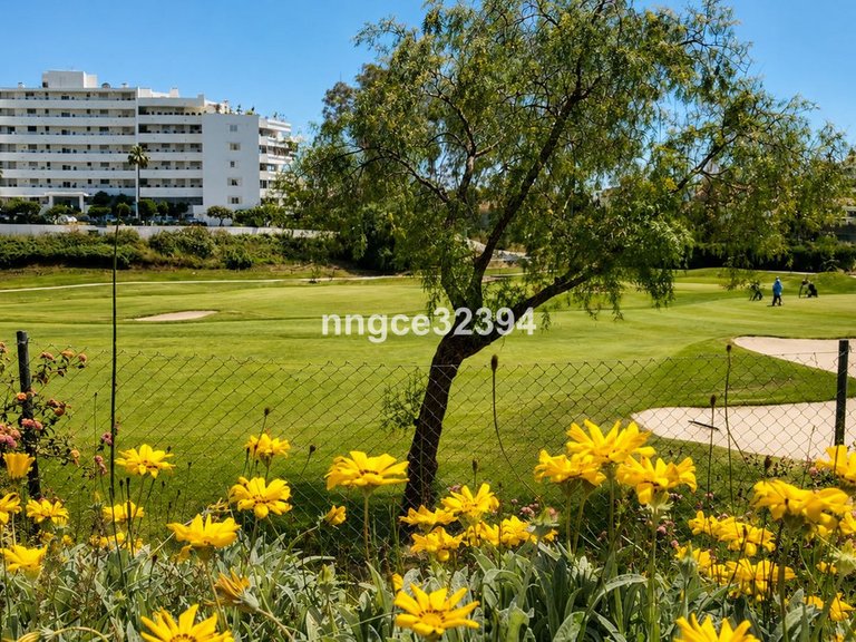 Apartment for Sale in San Pedro De Alcántara, Malaga 13