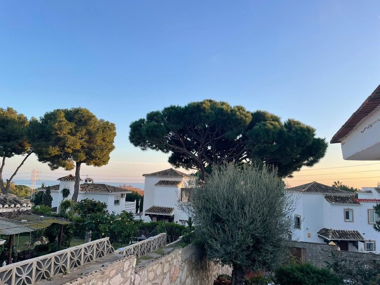 Villa for Sale in Calahonda, Malaga 14