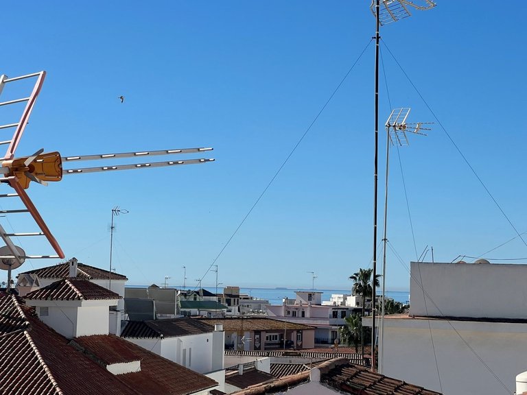 Villa for Sale in Estepona, Malaga 64