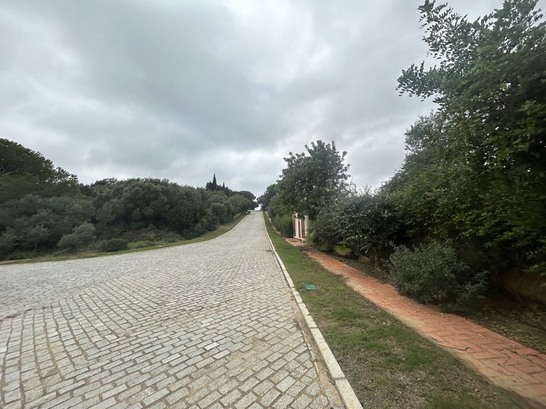 Plot for Sale in Sotogrande Alto, Cadiz 10