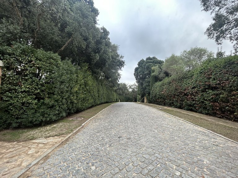 Plot for Sale in Sotogrande Alto, Cadiz 11