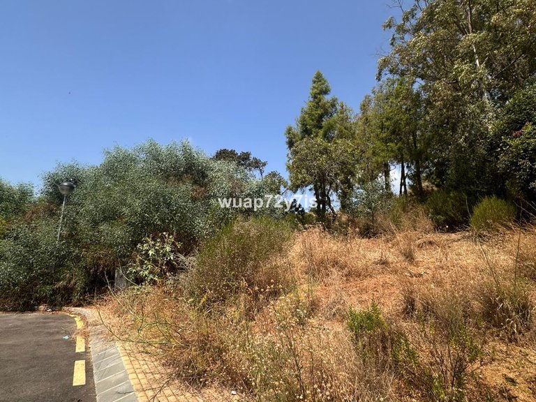 Plot for Sale in Estepona, Malaga 3