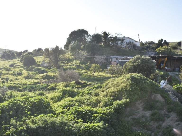 Villa for Sale in Casares, Malaga 10
