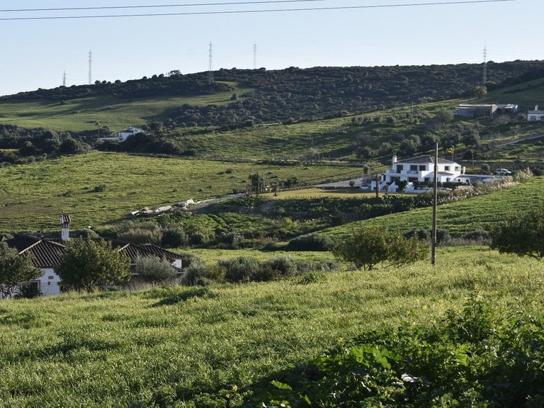 Villa for Sale in Casares, Malaga 13