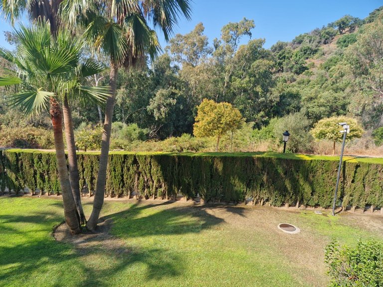 Apartment for Sale in Elviria, Malaga 16