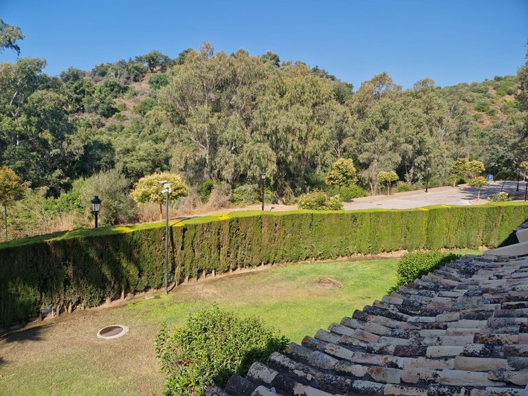 Apartment for Sale in Elviria, Malaga 17