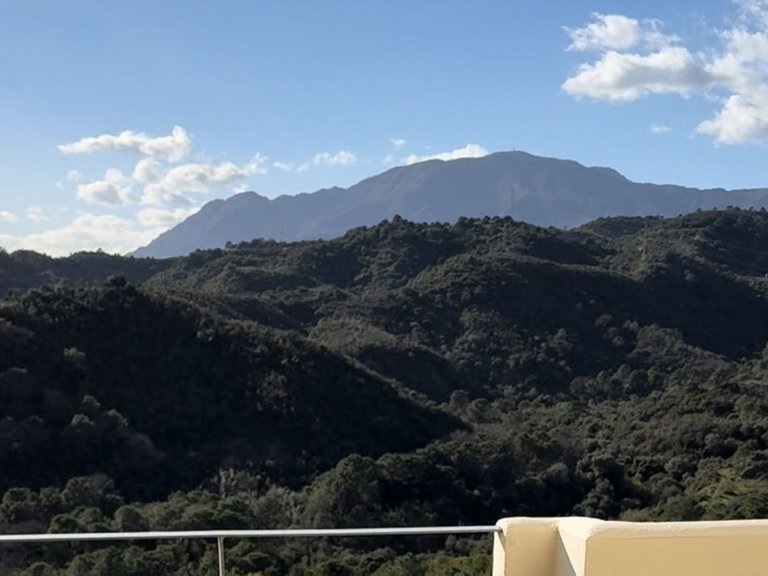 Apartment for Sale in Selwo, Malaga 3