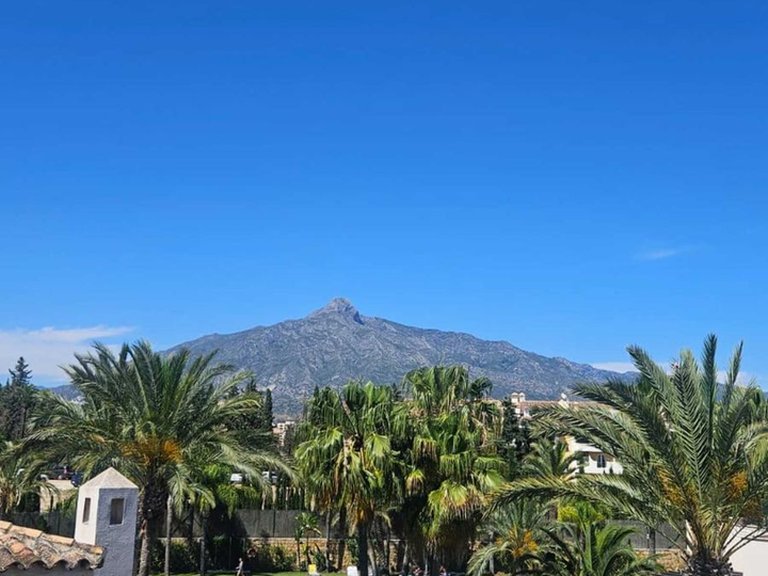Apartment for Sale in Nueva Andalucía, Malaga 5