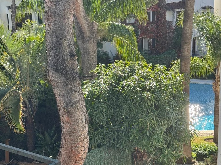 Villa for Sale in Marbella, Malaga 34