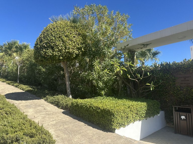 Apartment for Sale in Casares, Malaga 12