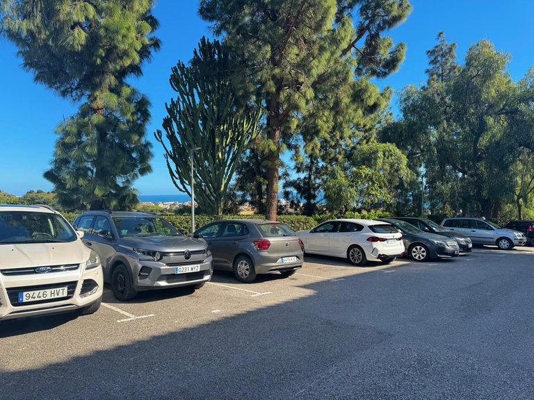 Apartment for Sale in Calahonda, Malaga 11